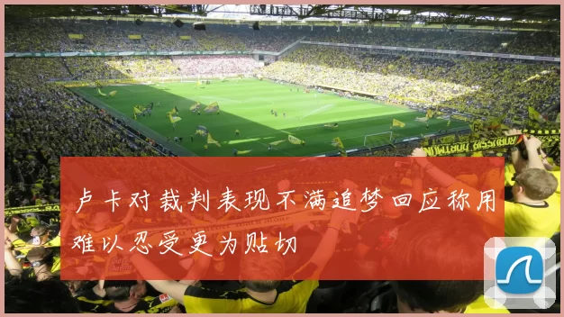 卢卡对裁判表现不满追梦回应称用难以忍受更为贴切