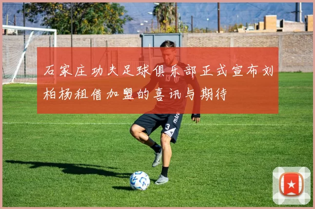 石家庄功夫足球俱乐部正式宣布刘柏杨租借加盟的喜讯与期待